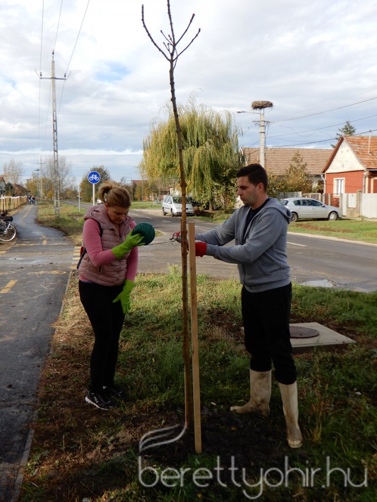 Közösségi faültetés Berettyóújfaluban 18